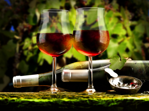 Обои картинки фото еда, напитки,  вино, два, бокала, вина, бутылки, кусты, винограда