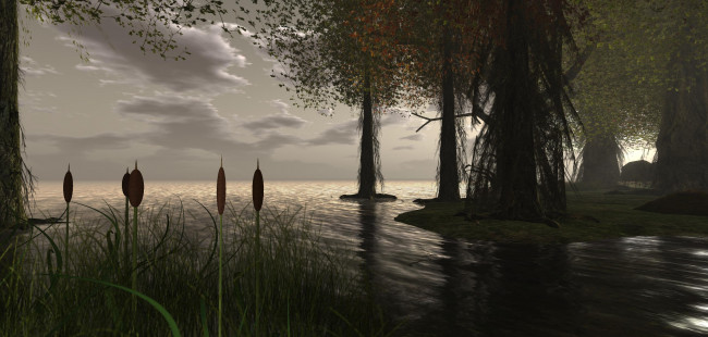 Обои картинки фото 3д графика, nature, landscape , природа, деревья, облака, озеро, камыши