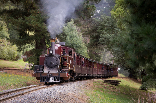 Обои картинки фото техника, паровозы, дорога, железная, поезд, вагоны, паровоз