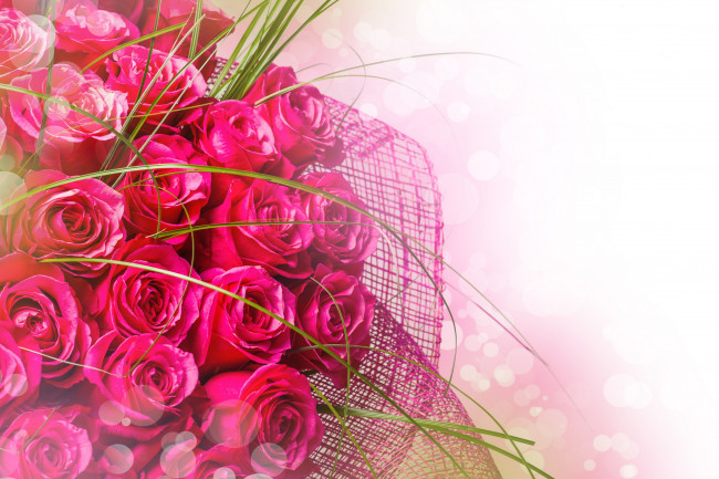 Обои картинки фото цветы, розы, розовый, фон, букет, розовые