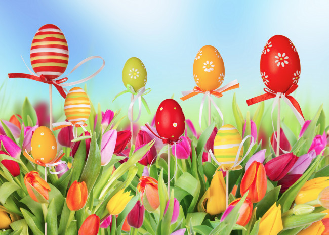 Обои картинки фото праздничные, пасха, яйца, пасхальные, цветы, тюльпаны
