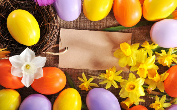 обоя праздничные, пасха, цветы, нарциссы, яйца, spring, flowers, eggs, easter