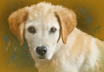 Картинка рисованное животные +собаки портрет собака щенок