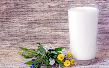 Картинка еда масло +молочные+продукты стакан молоко букет