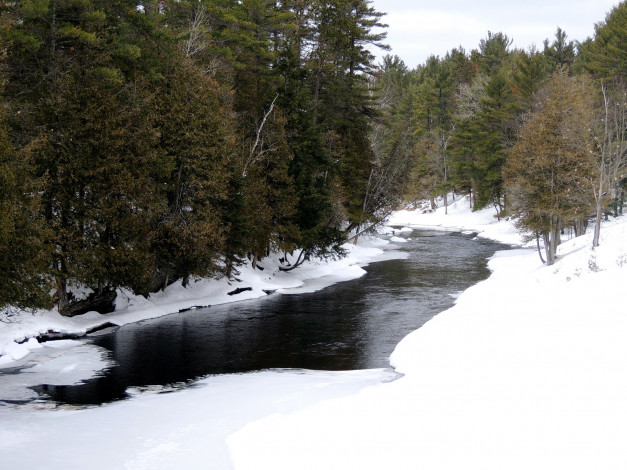 Обои картинки фото природа, зима, полынья, деревья, река