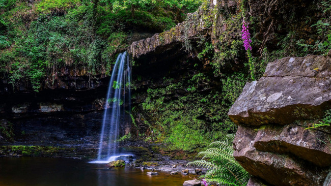 Обои картинки фото природа, водопады, цветок, камни, поток