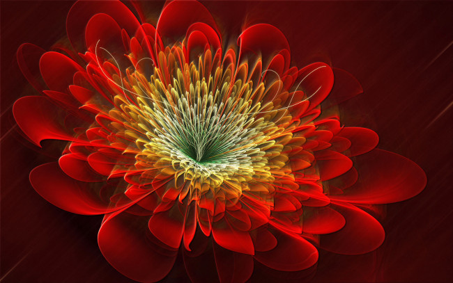 Обои картинки фото 3д графика, цветы , flowers, красный, цветок