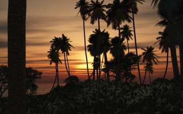 Картинка 3д графика nature landscape природа море пальмы закат porsche элитные спортивные германия