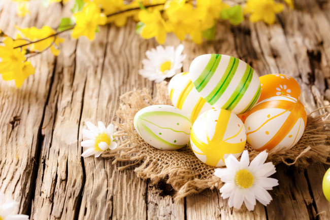 Обои картинки фото праздничные, пасха, ромашки, easter, eggs, wood, flowers, camomile, яйца