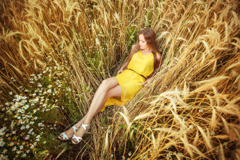 Картинка девушки -unsort+ брюнетки +шатенки пшеница колосья ромашки платье поле девушка