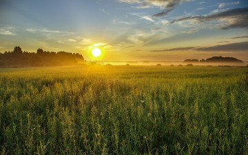 Картинка природа восходы закаты закат поле трава солнце небо облака