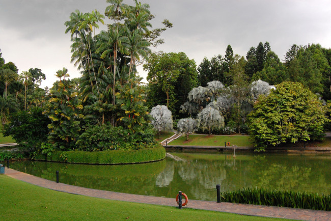 Обои картинки фото природа, парк, botanic, gardens, сингапур, дизайн, пальмы, газон, пруд, трава, деревья