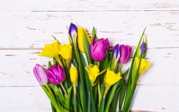 Картинка цветы разные+вместе букет colorful тюльпаны wood