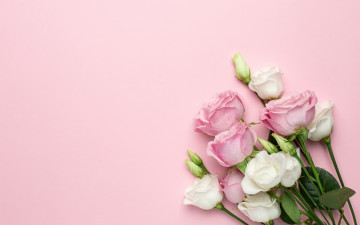 Картинка цветы разные+вместе фон розовый букет эустома