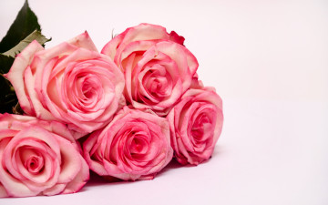 Картинка цветы розы букет розовые