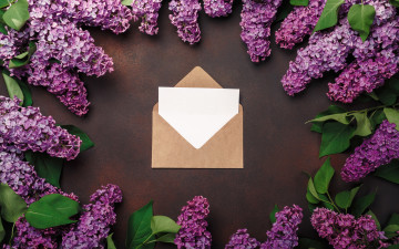 Картинка цветы сирень love wood flowers romantic letter spring purple lilac