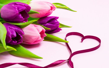 Картинка праздничные день+святого+валентина +сердечки +любовь любовь цветы сердце букет лента тюльпаны love heart pink flowers romantic tulips purple ribbon