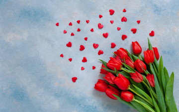 Картинка праздничные день+святого+валентина +сердечки +любовь любовь сердечки тюльпаны red love romantic hearts tulips