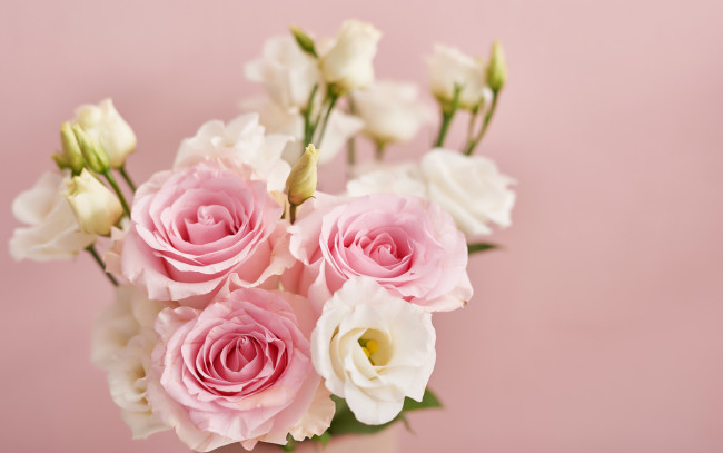 Обои картинки фото цветы, букеты,  композиции, фон, розовый, розы, букет, эустома