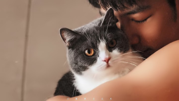 Картинка мужчины xiao+zhan актер лицо кошка