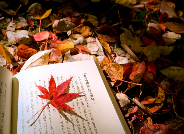 Обои картинки фото разное, канцелярия, книги, японская, книга, осень, иероглифы, литья