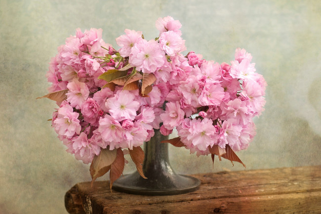 Обои картинки фото цветы, сакура, вишня, букет, японская