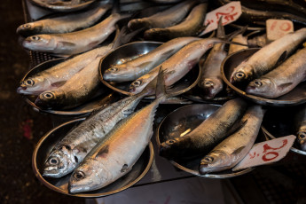Картинка еда рыба +морепродукты +суши +роллы сельдь