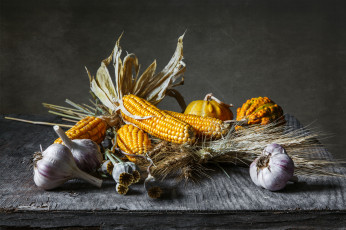 Картинка еда овощи кукуруза чеснок тыква