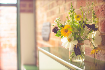 Картинка цветы букеты +композиции солнечный свет окна стены гостиная букет