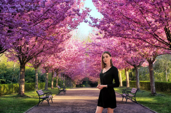 Картинка девушки -+брюнетки +шатенки парк весна шатенка черное платье
