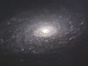 Картинка m63 галактика подсолнух космос галактики туманности
