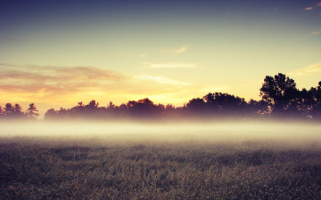 Картинка morning mist природа поля туман утренний