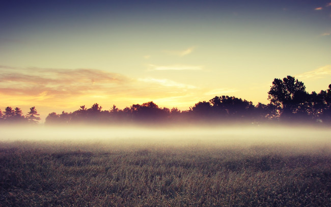 Обои картинки фото morning, mist, природа, поля, туман, утренний