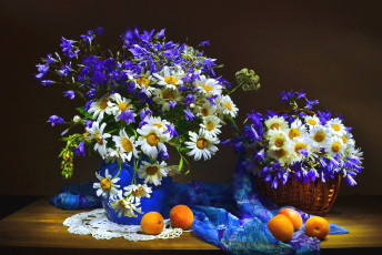 Картинка цветы луговые+ полевые +цветы колокольчики ромашки абрикосы