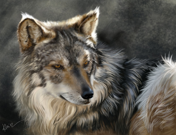 Обои картинки фото рисованные, животные,  волки, волк, морда, хищник