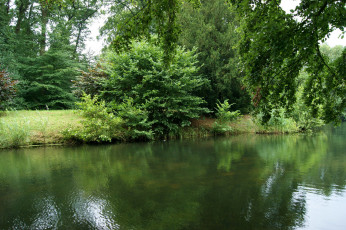Картинка природа реки озера летняя зелень