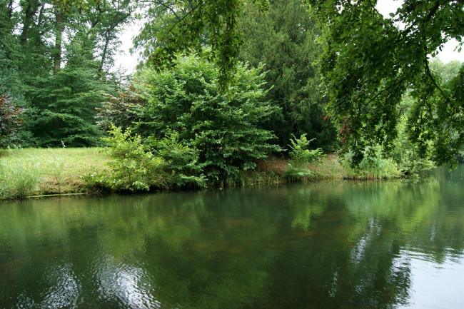 Обои картинки фото природа, реки, озера, летняя, зелень
