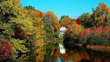 Картинка природа реки озера отражение деревья осень река