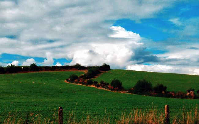 Обои картинки фото природа, поля, облака, поле, изгородь