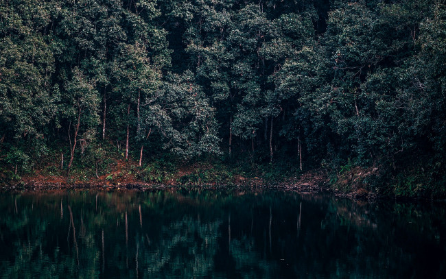 Обои картинки фото природа, реки, озера, деревья, вода, река, отражение