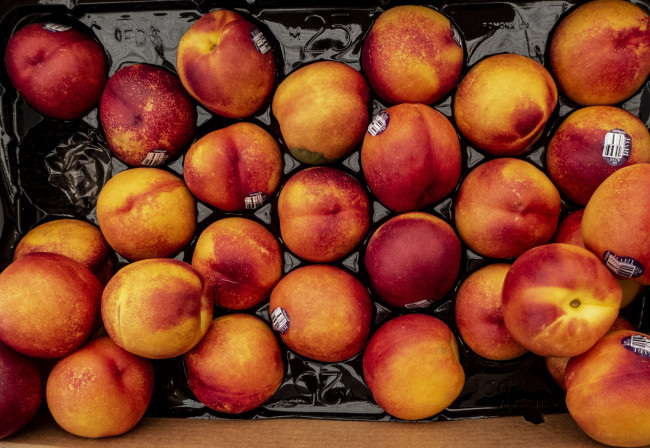 Обои картинки фото еда, персики,  сливы,  абрикосы, нектарины