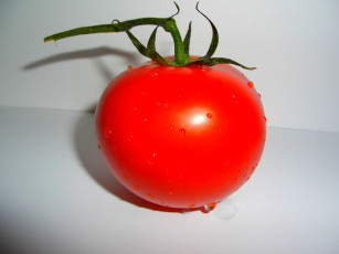 Картинка помидорка еда