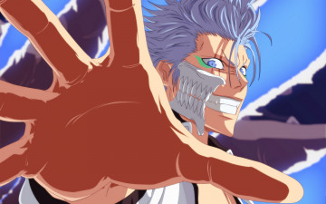 Картинка аниме bleach grimmjow jeagerjaques парень anime art