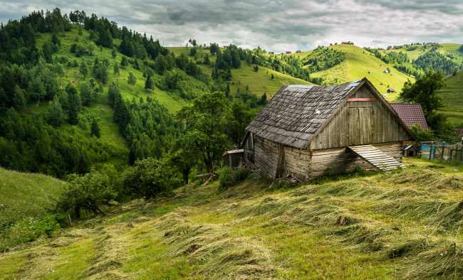 Обои картинки фото румыния, города, - пейзажи, сено, трава, постройка, холмы, деревья