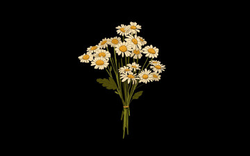 Картинка рисованное цветы букет ромашки