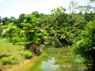 Картинка jamaica природа тропики река мост парк