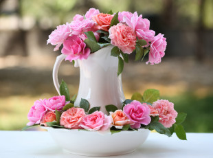 Картинка цветы розы кувшин бутоны elena di guardo