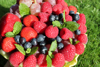 Картинка еда фрукты +ягоды малина клубника голубика виноград