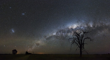 Картинка природа деревья пространство звезды космос млечный путь ночь силуэты