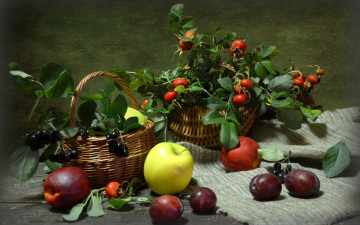 Картинка еда фрукты +ягоды яблоки натюрморт арония шиповник сливы